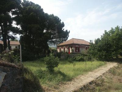 B&B Sotto I Pini 扎费拉纳-埃特内阿 外观 照片